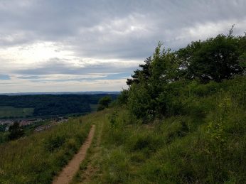 SHS-Wandermarathon (43)