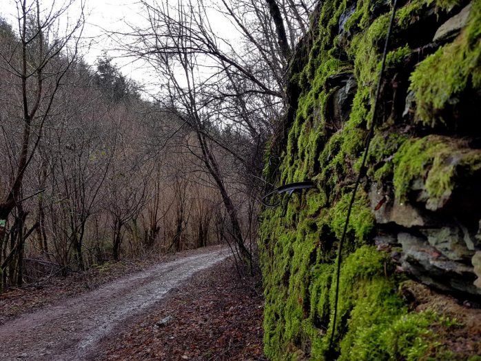 Saar-Riesling-Steig - Inov-8 Roclite 305 (14)