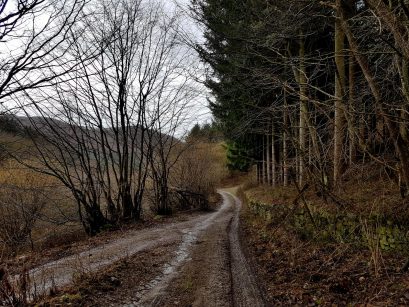 Saar-Riesling-Steig - Inov-8 Roclite 305 (17)