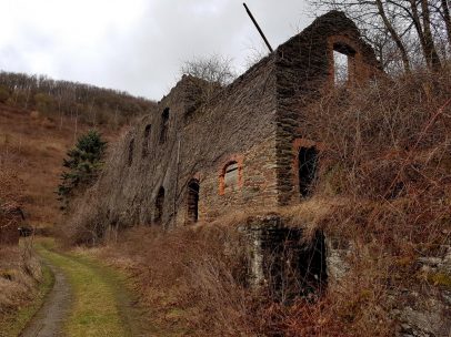 Saar-Riesling-Steig - Inov-8 Roclite 305 (18)