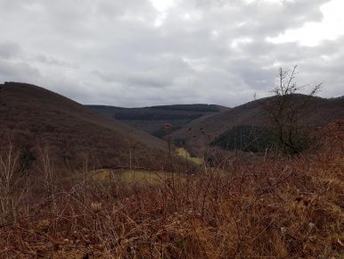 Saar-Riesling-Steig - Inov-8 Roclite 305 (21)