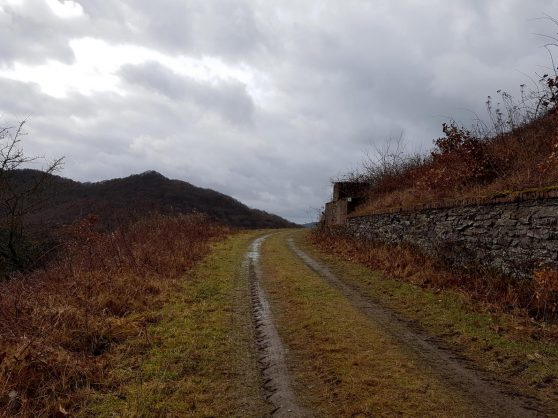 Saar-Riesling-Steig - Inov-8 Roclite 305 (22)