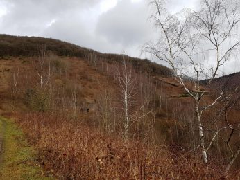 Saar-Riesling-Steig - Inov-8 Roclite 305 (23)