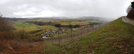 Saar-Riesling-Steig - Inov-8 Roclite 305 (25)