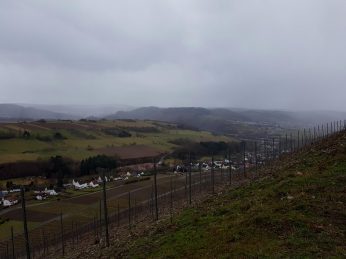 Saar-Riesling-Steig - Inov-8 Roclite 305 (26)