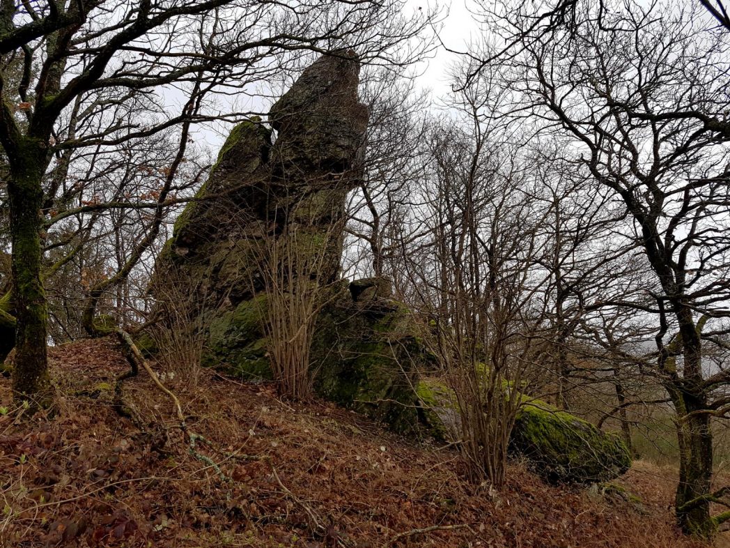 Saar-Riesling-Steig - Inov-8 Roclite 305 (28)