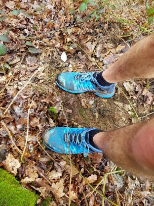 Saar-Riesling-Steig - Inov-8 Roclite 305 (31)