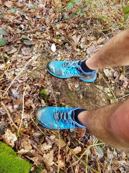 Saar-Riesling-Steig - Inov-8 Roclite 305 (31)