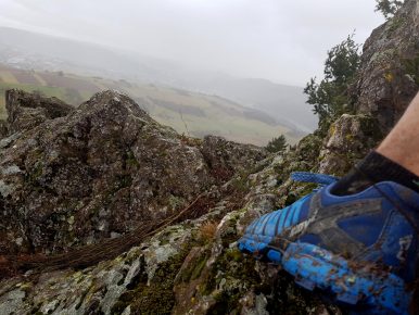 Saar-Riesling-Steig - Inov-8 Roclite 305 (37)