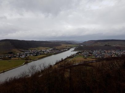 Saar-Riesling-Steig - Inov-8 Roclite 305 (43)
