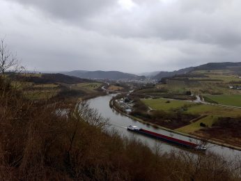 Saar-Riesling-Steig - Inov-8 Roclite 305 (46)