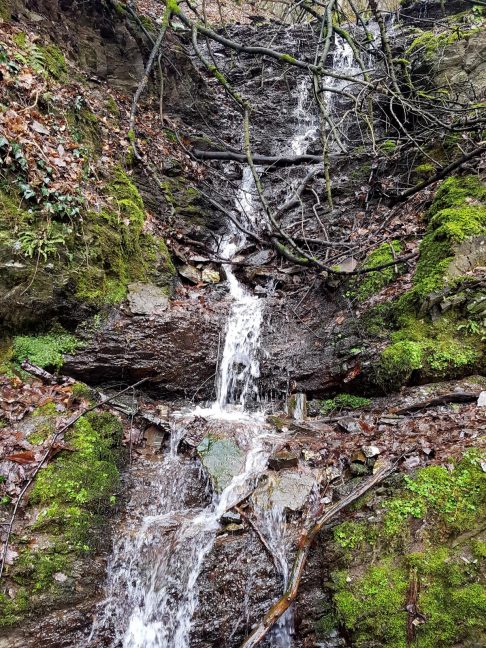 Saar-Riesling-Steig - Inov-8 Roclite 305 (49)