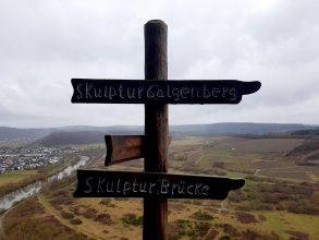 Saar-Riesling-Steig - Inov-8 Roclite 305 (50)