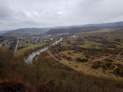 Saar-Riesling-Steig - Inov-8 Roclite 305 (51)