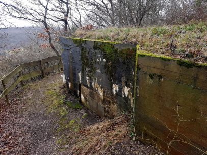 Saar-Riesling-Steig - Inov-8 Roclite 305 (58)