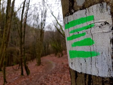 Saar-Riesling-Steig - Inov-8 Roclite 305 (6)