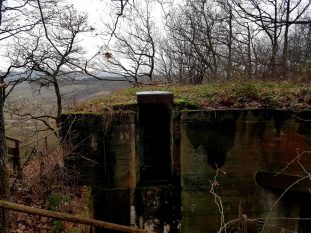 Saar-Riesling-Steig - Inov-8 Roclite 305 (60)