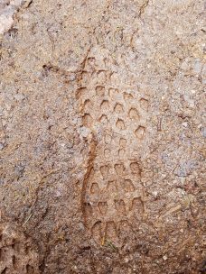 Saar-Riesling-Steig - Inov-8 Roclite 305 (64)