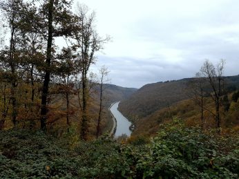 Saarschleife-Trail (4)