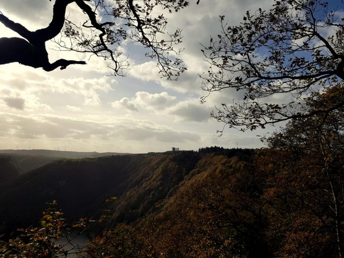 Saarschleife-Trail (9)