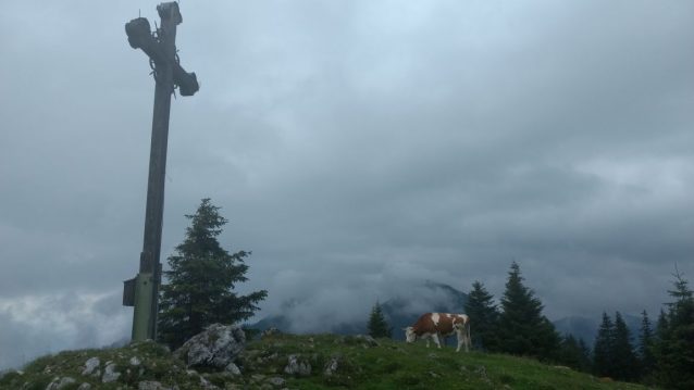 Sanctuary by TS (12)