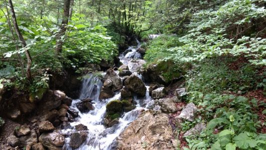 Sanctuary by TS (19)