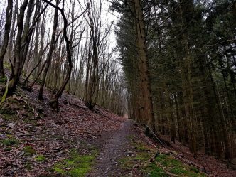 Trailrunning - Trier (10)