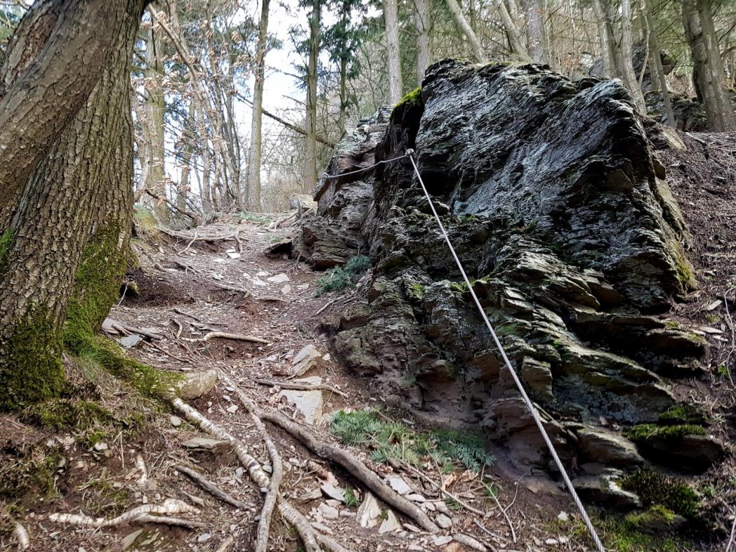 Trailrunning - Trier (12)
