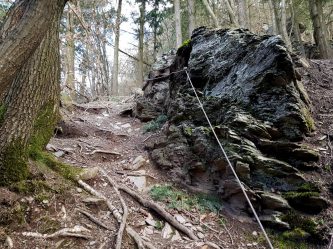 Trailrunning - Trier (12)