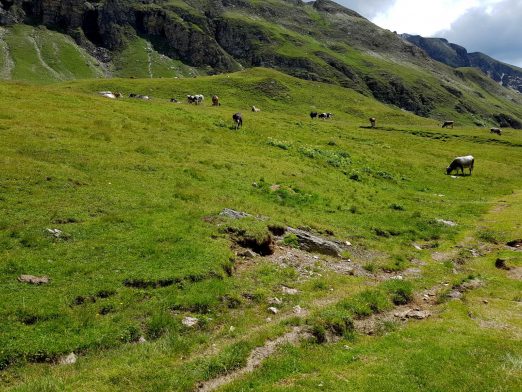 Trailrunning - Trier (13)