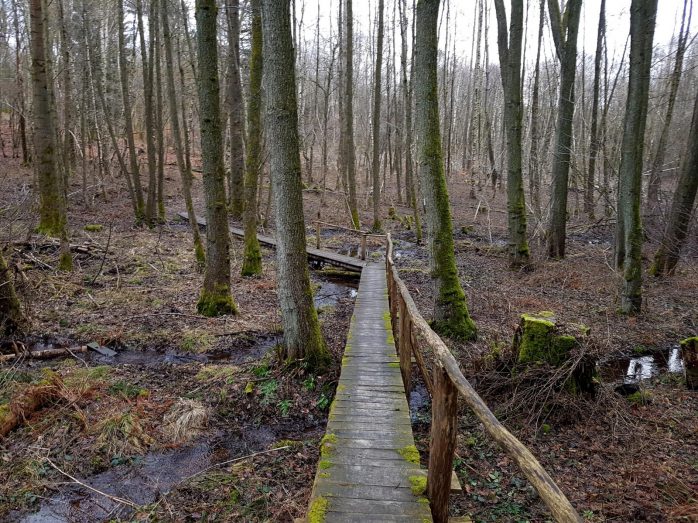 Trailrunning - Trier (16)