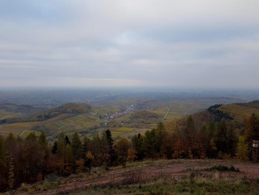 trailrunning-trier-16