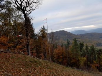 trailrunning-trier-17
