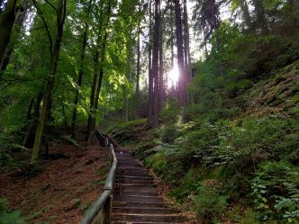 Trailrunning - Trier (19)