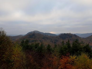 trailrunning-trier-21