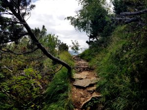 Trailrunning - Trier (22)