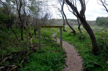 Trailrunning - Trier (24)