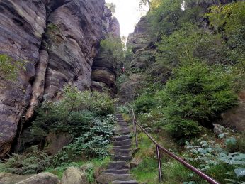 Trailrunning - Trier (26)