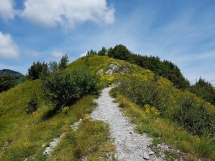 Trailrunning - Trier (27)