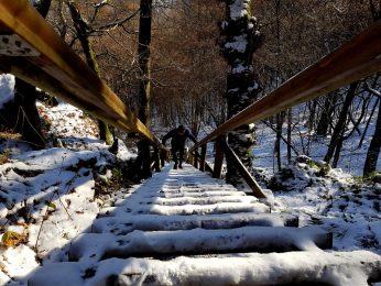 Trailrunning - Trier (28)