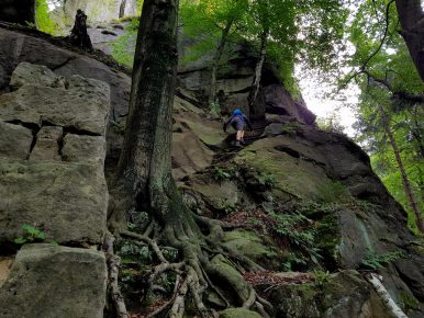 Trailrunning - Trier (29)