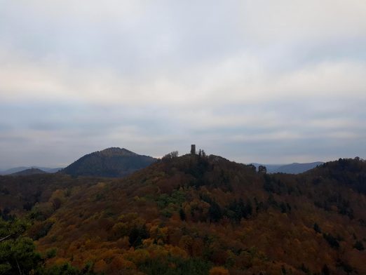 trailrunning-trier-29