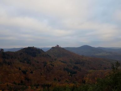 trailrunning-trier-30