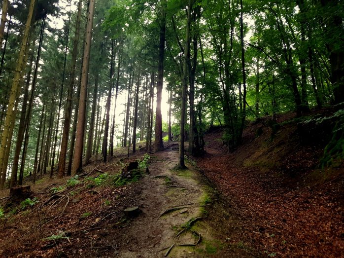 Trailrunning - Trier (31)