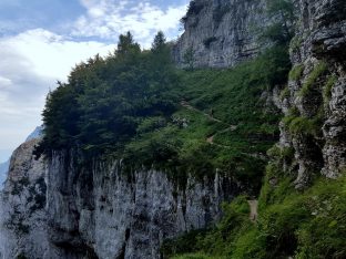 Trailrunning - Trier (32)