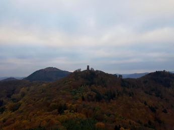 trailrunning-trier-33