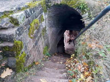 trailrunning-trier-34