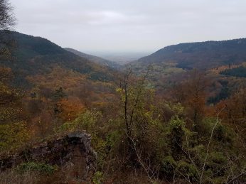 trailrunning-trier-36