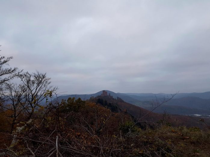 trailrunning-trier-37
