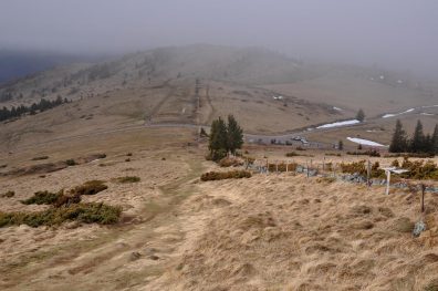 Trailrunning - Trier (38)